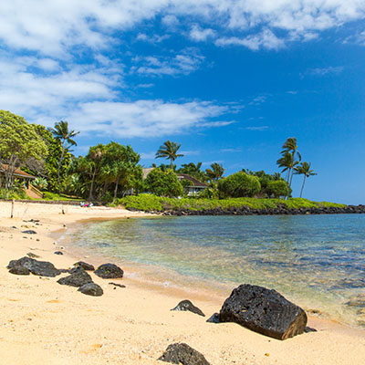 koloa